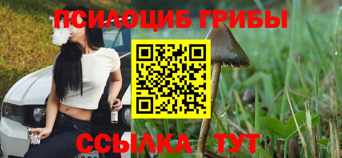 Черняховск  Псилоцибиновые грибы прущие грибы  Псилоцибиновые грибы мухоморы  Вход с VPN 
